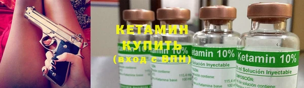прущие грибы Верея