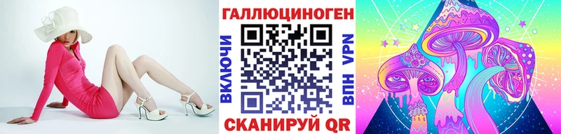 Псилоцибиновые грибы GOLDEN TEACHER Купить закладки Дальнереченск